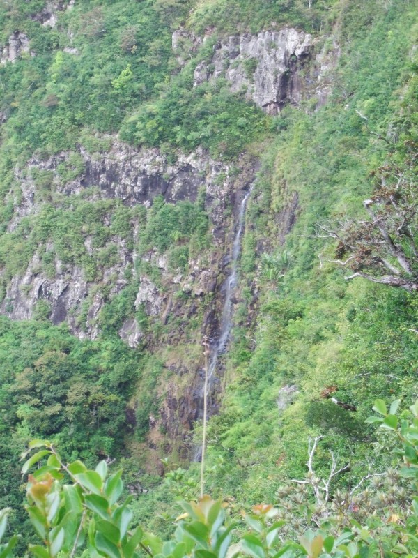 Mauritius 2010 - 0356 